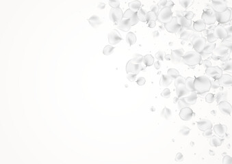 White Blossom Vector Light Background. Pastel