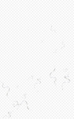 Chic Star Shiny Vector Transparent Background.