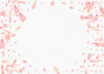 Pink Rosa Vector Transparent Background. Lotus