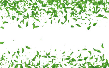 Forest Greens Fresh Vector White Background