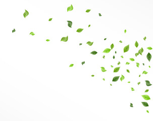 Swamp Leaf Wind Vector White Background Pattern.