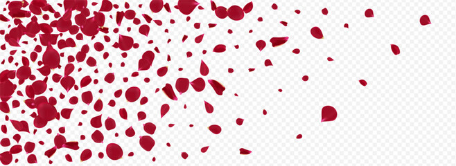 Delicate Floral Falling Vector Panoramic