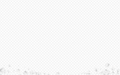 Snowy Blossom Vector Transparent Background.