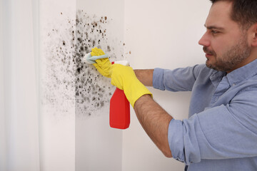 Man in rubber gloves using mold remover and brush on walls in room