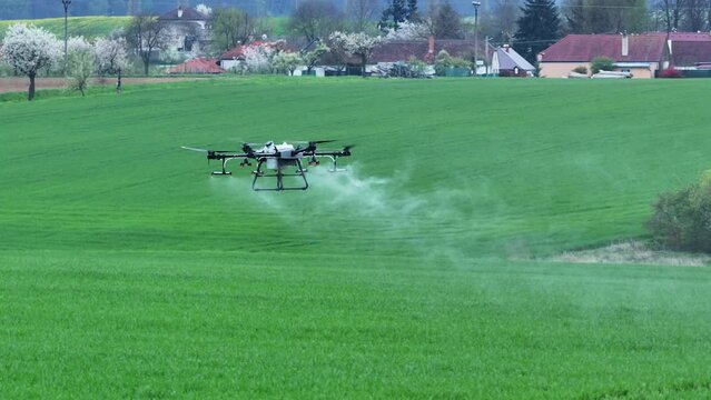 Agriculture Drone Flying Above Green Farming Field and Spraying Fertilizer, Modern Farming Concept, Tracking Shot
