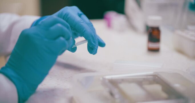 Scientist Working in Medical Laboratory Cancer Research Covic 19 Pandemic