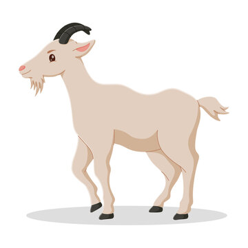 A white goat cartoon character. eid al adha mubarak icon. Vector illustration 
