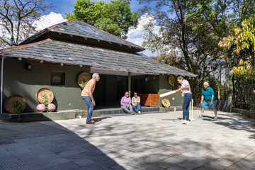 Family members playing cricket in the back yard.