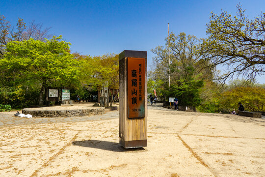 春の高尾山 山頂広場