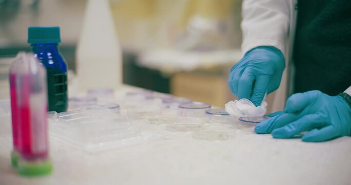 Scientist Working in Medical Laboratory Cancer Research Covic 19 Pandemic