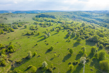 Aerial view of a green wild pasture in the spring