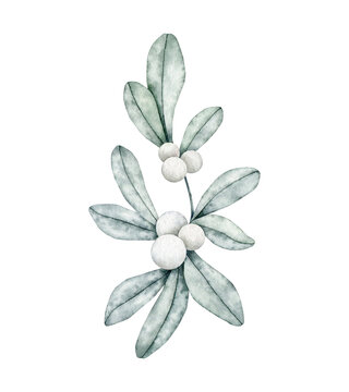 Symphoricarpos, commonly known as the snowberry, waxberry, or ghostberry. Deciduous shrub with white berries. Hand drawn watercolor illustration for greeting card, wedding invitation