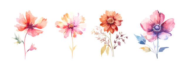 Set of watercolor leaves, hand painted floral elements isolated on a white background. watercolor arrangements with small flower. Botanical minimal style. 