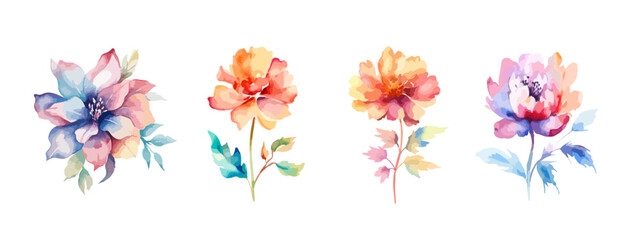 Set of watercolor flower. DIY flower, green flower elements collection. Rose, peony, eucalyptus. For bouquets, wreaths, wedding invitations. 