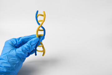 Scientist holding DNA molecule model made of colorful plasticine on white background, closeup....
