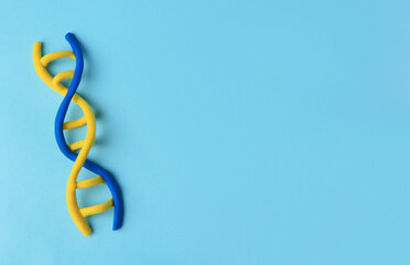 DNA molecule model made of colorful plasticine on light blue background, top view. Space for text