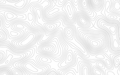 Topographic map contour background. The concept of a conditional geography scheme and the terrain path. Vector abstract topographic map concept with space for your copy. Vector art