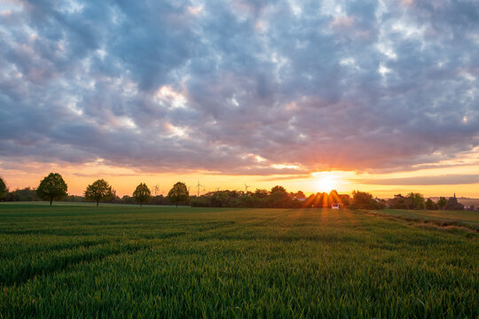 sunrise over the field © Dirk