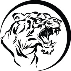 tiger fierce roar head wild 