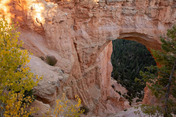 Rock Arch at Bryce Canyon National Park