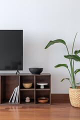 TV and storage area with handmade decor and big strelitzia