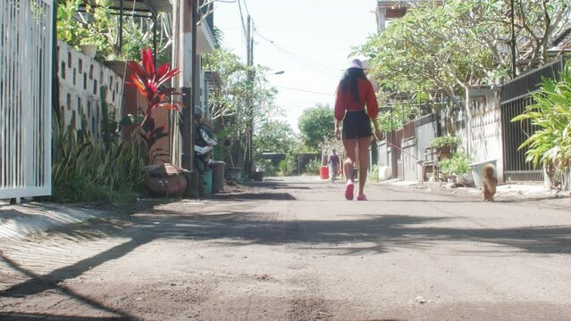 Cute brown dog with short leggs is walked by a girl in a local neightbourhood on the street. The dog wears a blue colar and a red leash. Thats a real active puppy.