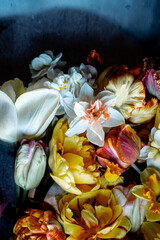 Obraz na płótnie Canvas Floral vintage card with flowers