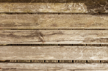 Wooden floor background texture