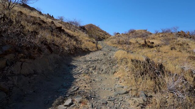 Panning on Joubert's Pass Rooi Drom near Marienfluss Valley in Namibia, Africa.