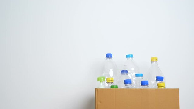 Volunteer keep plastic bottle into paper box at home or office. Hand Sorting Recycle garbage. Ecology, Environmental, pollution, Dispose recycling, waste management and trash Separation concept