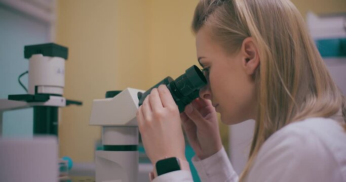 Scientist Working in Medical Laboratory Cancer Research Covic 19 Pandemic