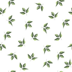 Seamless vector grass pattern. Green leaves. Juicy plants on a white background 