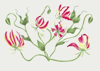 大きく広がったグオリオサの花束