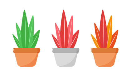 Set of cute plants with pots of different colors. Vector illustration in a flat style. Isolated on white background.