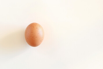 A chicken egg on a white background. Space for text.