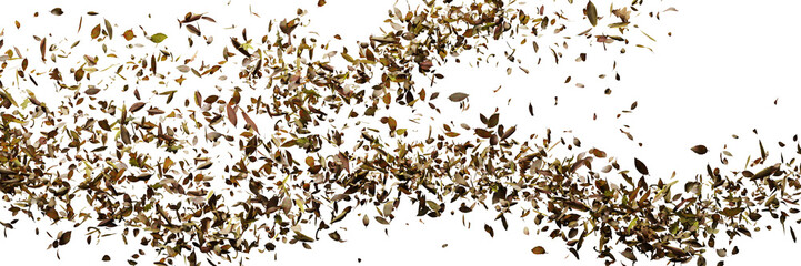 autumn leaves flying in the wind, isolated on transparent background banner