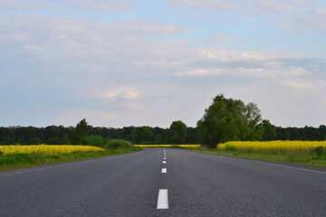 In the middle of a mountainous yellow field, a road for cars.