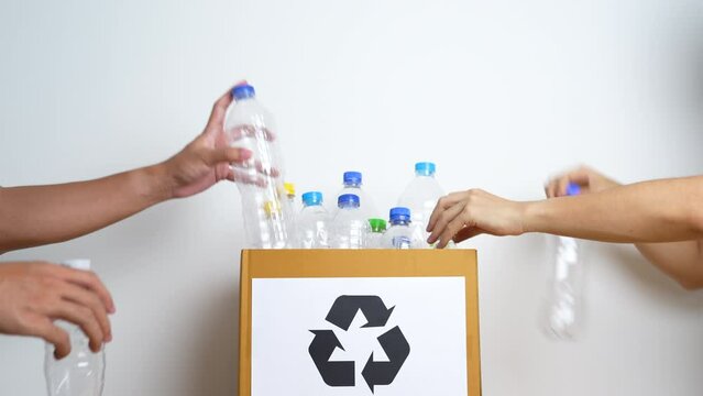 Volunteer keep plastic bottle into paper box at home or office. Hand Sorting Recycle garbage. Ecology, Environmental, pollution, Dispose recycling, waste management and trash Separation concept
