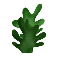 Obraz premium seaweed