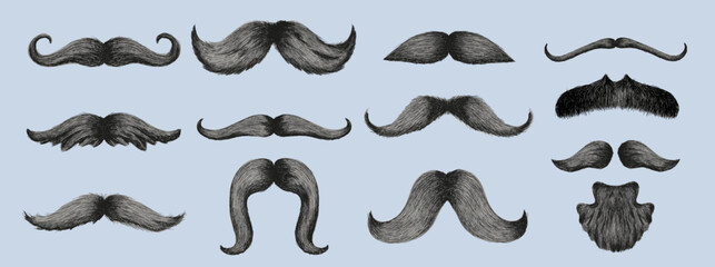 Big Set of Different styles of male realistic mustaches. Hand drawn Chevron, imperial, lampshade, painter brush, handlebar, classic relaxed, english, thick thin man mustaches. Vector illustration.