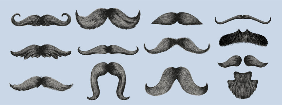 Big Set of Different styles of male realistic mustaches. Hand drawn Chevron, imperial, lampshade, painter brush, handlebar, classic relaxed, english, thick thin man mustaches. Vector illustration.