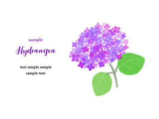 カードデザイン_アジサイ（紫色）
