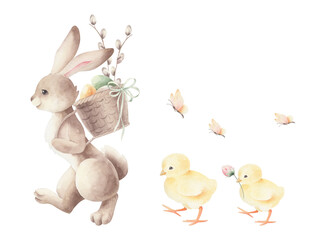 Waterclor easter bunny and eggs and chickens isolated.