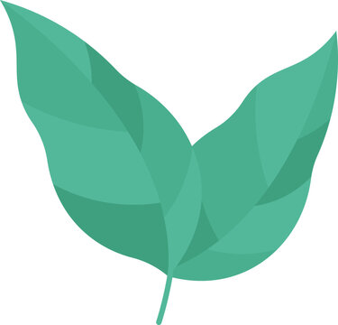 yanang  icon