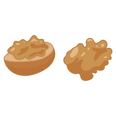 Nut Types Food Walnuts