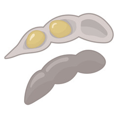 Nut Types Food Soybeans