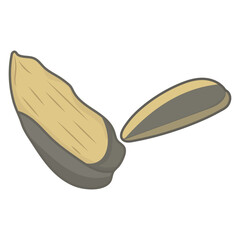 Nut Types Food Sunflower Seed