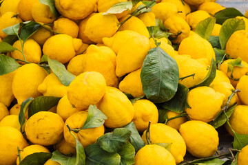 Pile of lemons in the farmer's market of Puglia Italy
