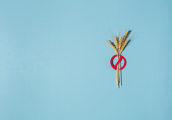 crossed spikelet symbol on blue background . Celiac disease. Gluten intolerance.