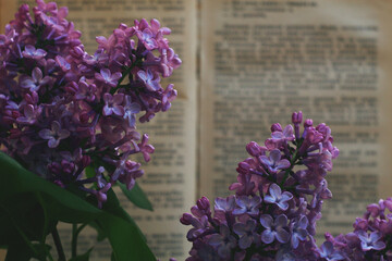 Lilac over the book
